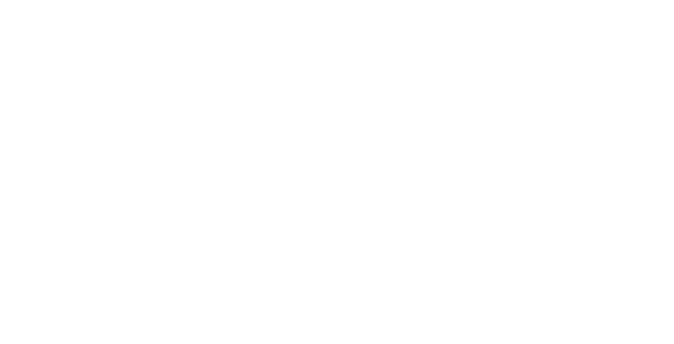 Dardini Logistics