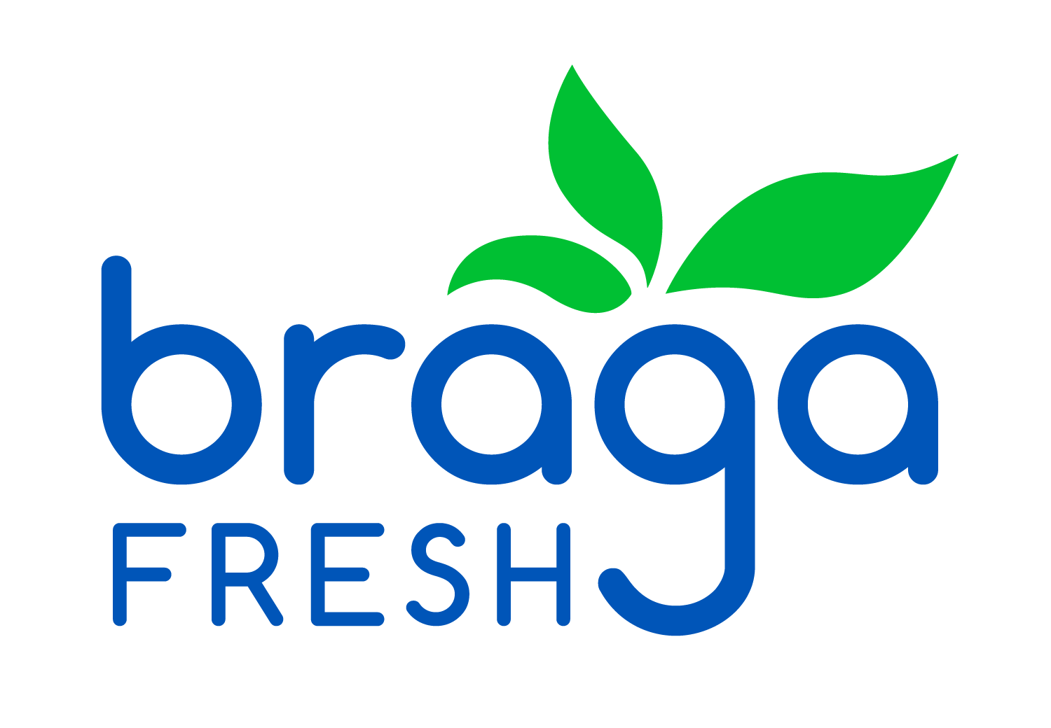 Braga Fresh logo